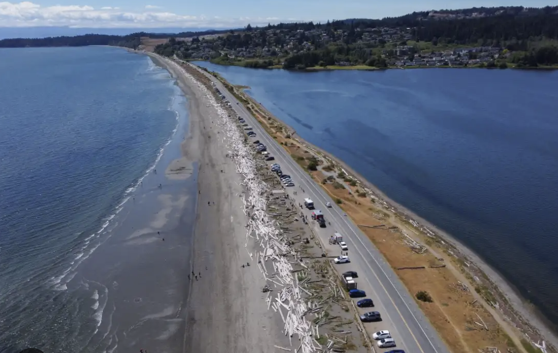 SHROOMS DELIVERY ESQUIMALT