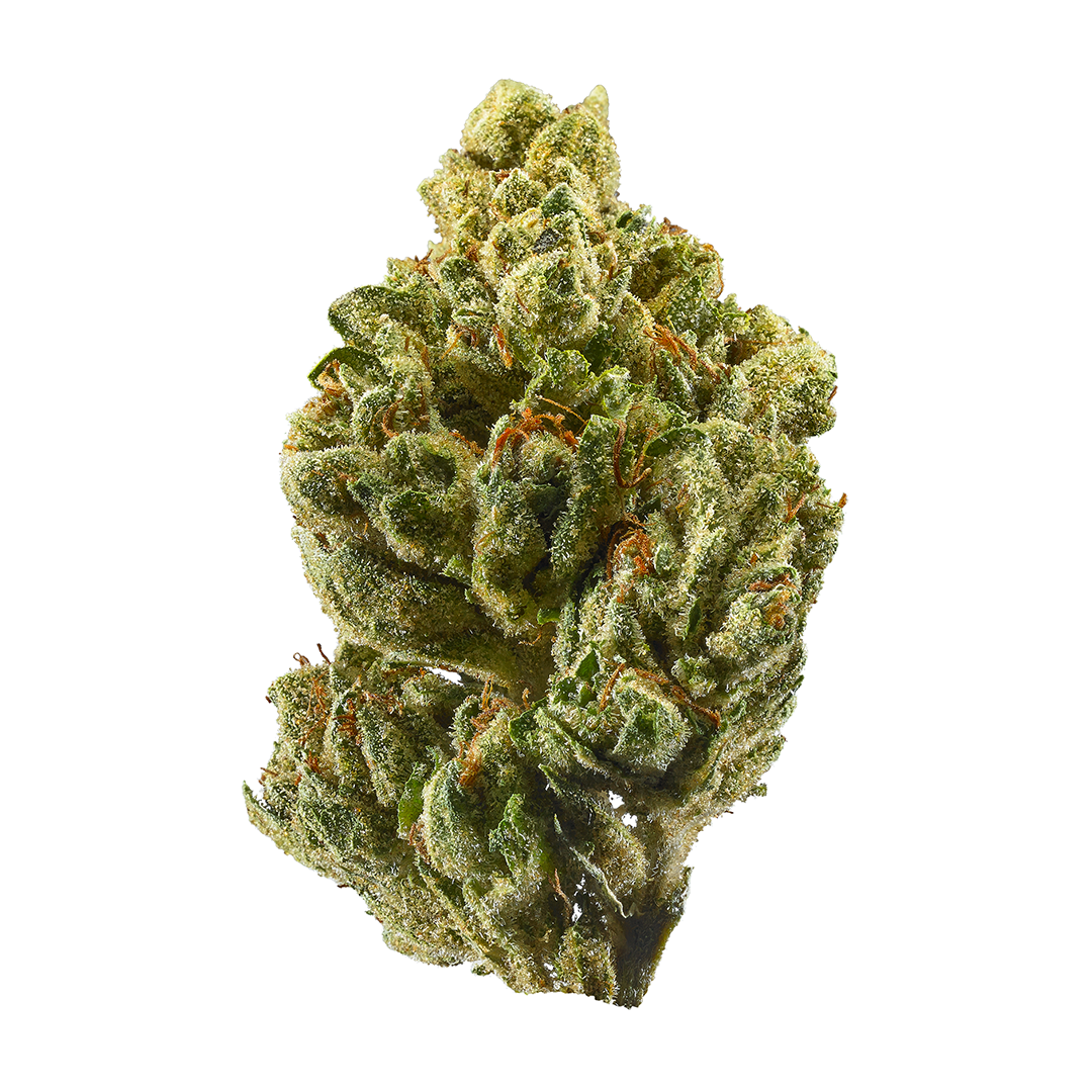 KUSH  SHROOMS