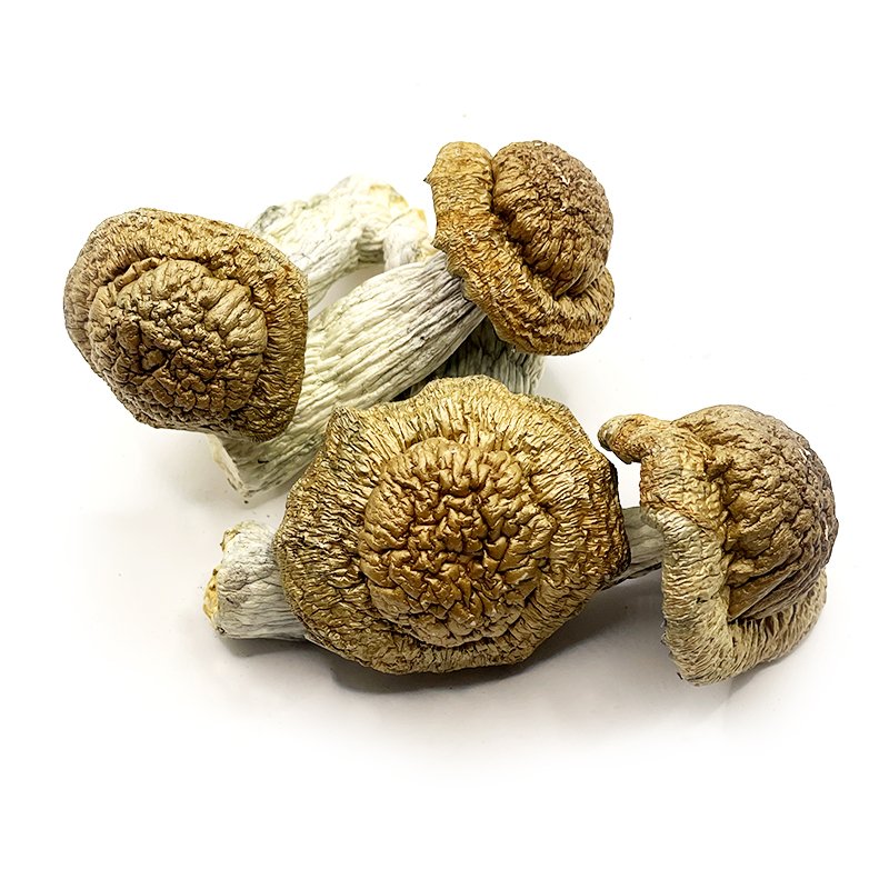 trinity shrooms victoria